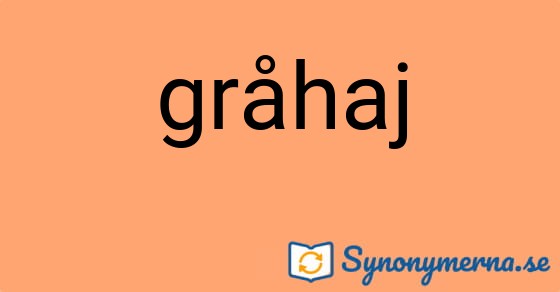 Bild som illustrerar ordet gråhaj och dess synonymer.