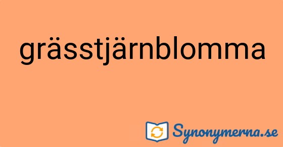 Bild som illustrerar ordet grässtjärnblomma och dess synonymer.