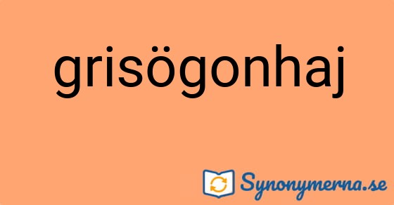 Bild som illustrerar ordet grisögonhaj och dess synonymer.