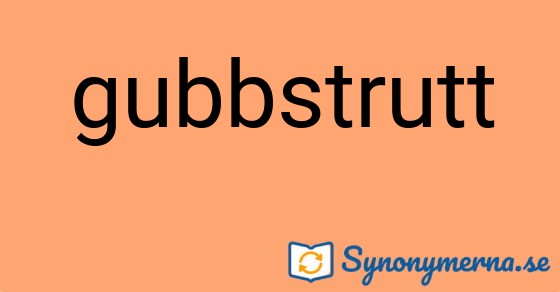 Bild som illustrerar ordet gubbstrutt och dess synonymer.