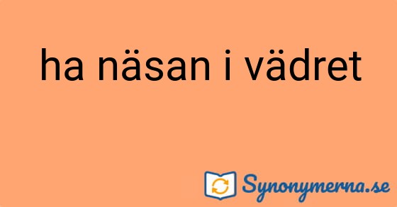 Bild som illustrerar uttrycket ha näsan i vädret och dess synonymer.