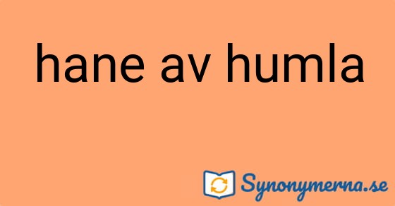 Bild som illustrerar uttrycket hane av humla och dess synonymer.