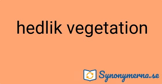 Bild som illustrerar uttrycket hedlik vegetation och dess synonymer.