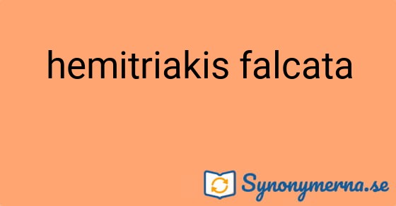 Bild som illustrerar uttrycket hemitriakis falcata och dess synonymer.