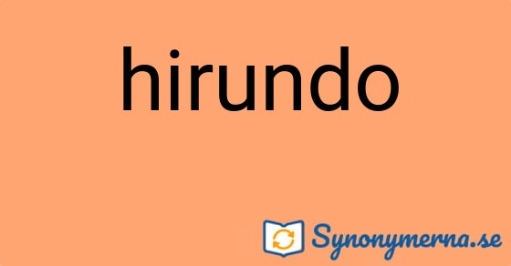 Bild som illustrerar ordet hirundo och dess synonymer.