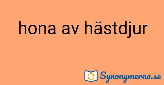 Bild som illustrerar uttrycket hona av hästdjur och dess synonymer.