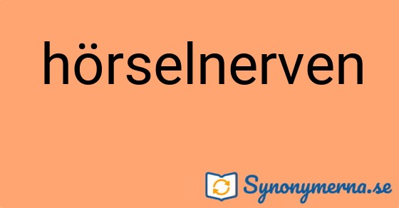 Bild som illustrerar ordet hörselnerven och dess synonymer.