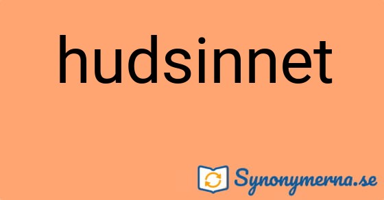 Bild som illustrerar ordet hudsinnet och dess synonymer.