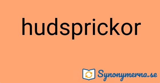 Bild som illustrerar ordet hudsprickor och dess synonymer.