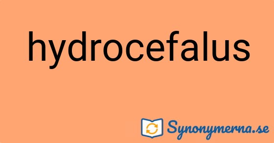 Bild som illustrerar ordet hydrocefalus och dess synonymer.