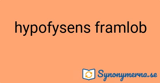 Bild som illustrerar uttrycket hypofysens framlob och dess synonymer.