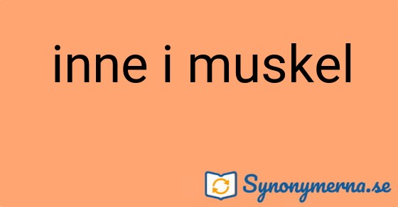 Bild som illustrerar uttrycket inne i muskel och dess synonymer.