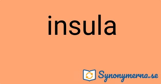 Bild som illustrerar ordet insula och dess synonymer.