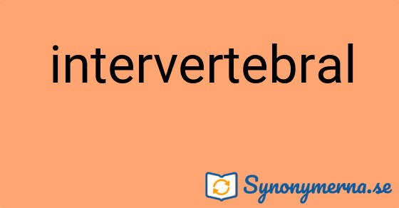 Bild som illustrerar ordet intervertebral och dess synonymer.