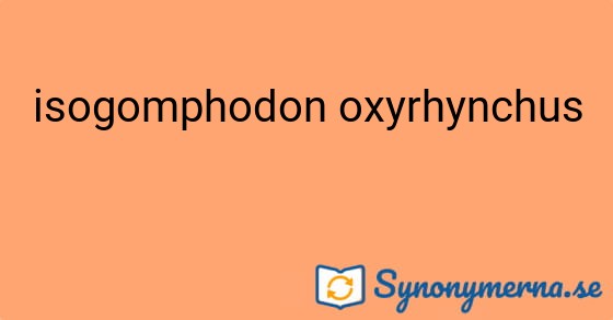 Bild som illustrerar uttrycket isogomphodon oxyrhynchus och dess synonymer.