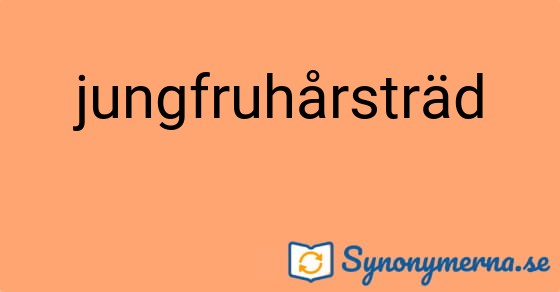 Bild som illustrerar ordet jungfruhårsträd och dess synonymer.