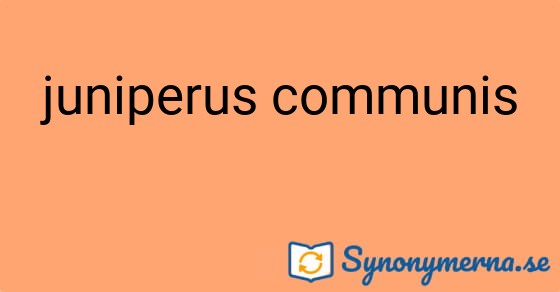 Bild som illustrerar uttrycket juniperus communis och dess synonymer.