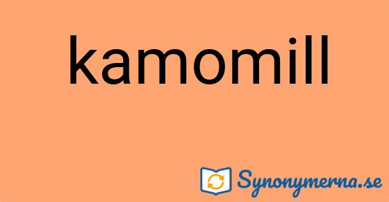 Bild som illustrerar ordet kamomill och dess synonymer.