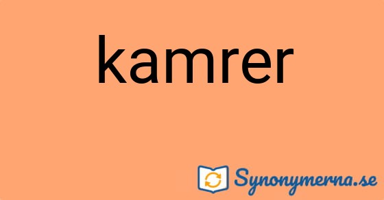 Bild som illustrerar ordet kamrer och dess synonymer.