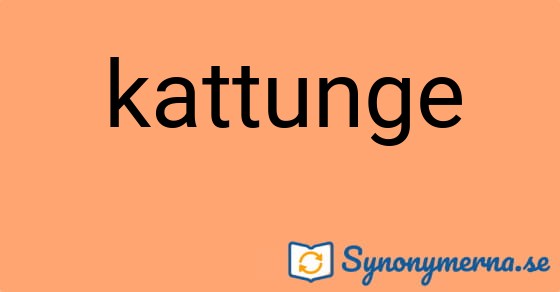 Bild som illustrerar ordet kattunge och dess synonymer.
