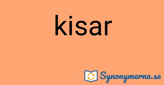 Bild som illustrerar ordet kisar och dess synonymer.