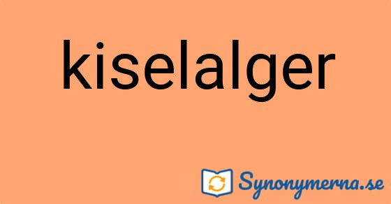 Bild som illustrerar ordet kiselalger och dess synonymer.