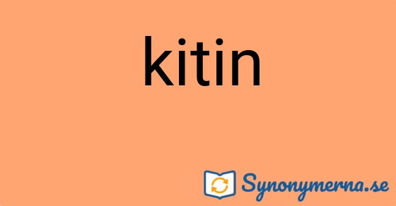 Bild som illustrerar ordet kitin och dess synonymer.