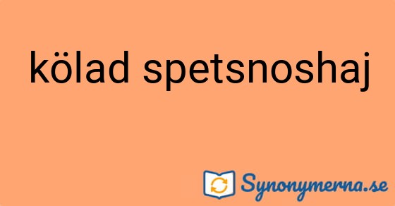 Bild som illustrerar uttrycket kölad spetsnoshaj och dess synonymer.