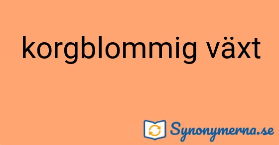 Bild som illustrerar uttrycket korgblommig växt och dess synonymer.
