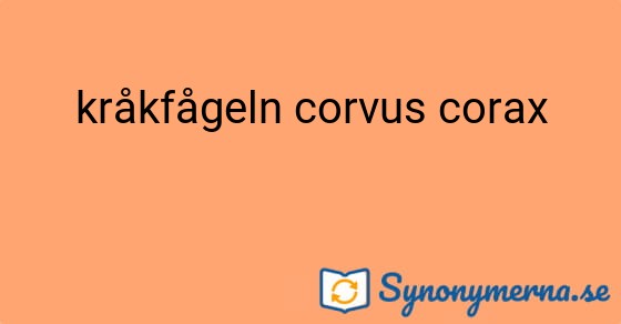 Bild som illustrerar uttrycket kråkfågeln corvus corax och dess synonymer.