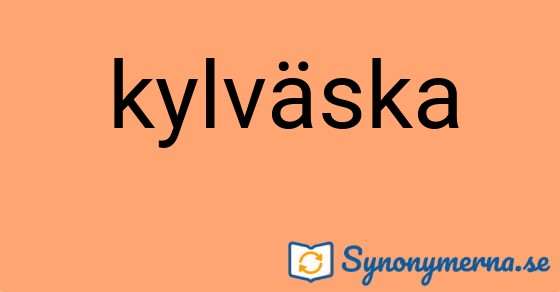 Bild som illustrerar ordet kylväska och dess synonymer.