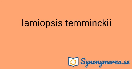 Bild som illustrerar uttrycket lamiopsis temminckii och dess synonymer.