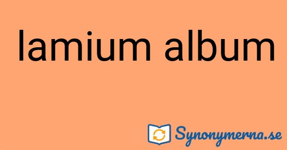 Bild som illustrerar uttrycket lamium album och dess synonymer.