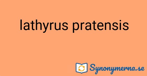 Bild som illustrerar uttrycket lathyrus pratensis och dess synonymer.
