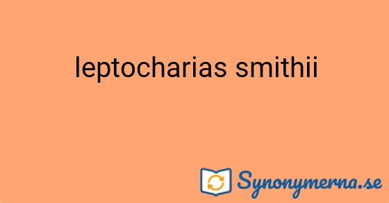 Bild som illustrerar uttrycket leptocharias smithii och dess synonymer.