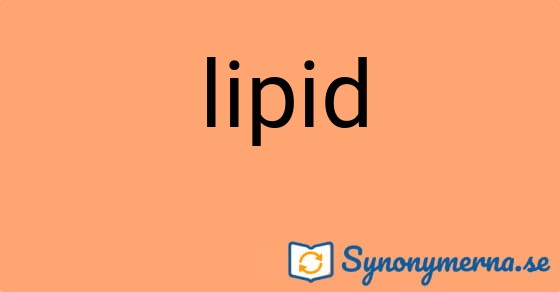 Bild som illustrerar ordet lipid och dess synonymer.