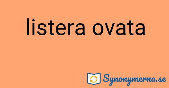 Bild som illustrerar uttrycket listera ovata och dess synonymer.