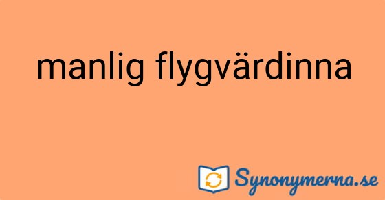 Bild som illustrerar uttrycket manlig flygvärdinna och dess synonymer.