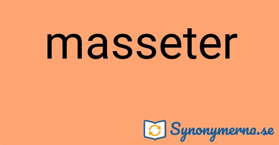 Bild som illustrerar ordet masseter och dess synonymer.
