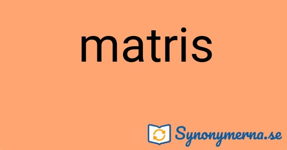 Bild som illustrerar ordet matris och dess synonymer.