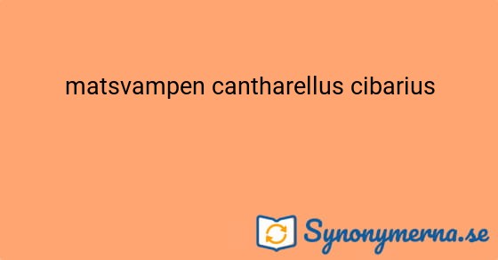 Bild som illustrerar uttrycket matsvampen cantharellus cibarius och dess synonymer.