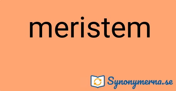 Bild som illustrerar ordet meristem och dess synonymer.