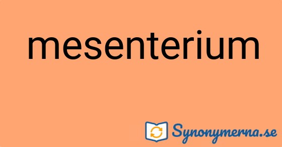 Bild som illustrerar ordet mesenterium och dess synonymer.