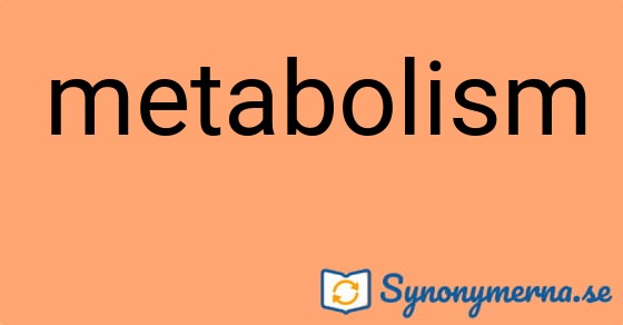 Bild som illustrerar ordet metabolism och dess synonymer.