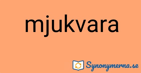 Bild som illustrerar ordet mjukvara och dess synonymer.