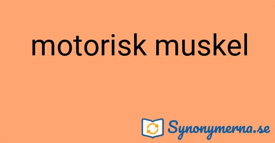 Bild som illustrerar uttrycket motorisk muskel och dess synonymer.