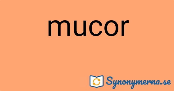 Bild som illustrerar ordet mucor och dess synonymer.