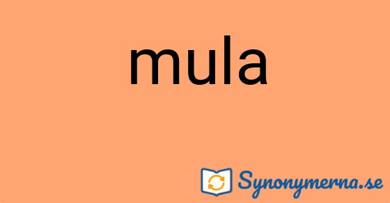 Bild som illustrerar ordet mula och dess synonymer.