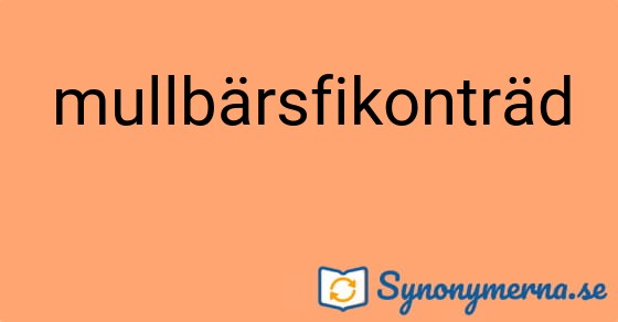 Bild som illustrerar ordet mullbärsfikonträd och dess synonymer.