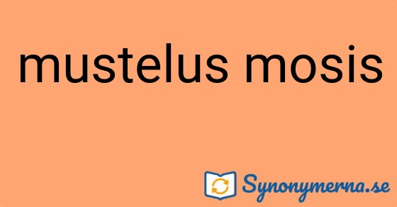 Bild som illustrerar uttrycket mustelus mosis och dess synonymer.
